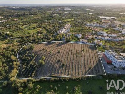 Acheter Terrain 8800 m2 Faro