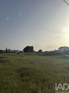 Acheter Terrain 2960 m2 Albufeira