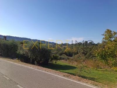 Acheter Terrain 1400 m2 Pombal