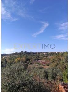 Acheter Maison Pombal rgion LEIRIA