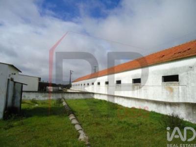 Acheter Local industriel Palmela rgion SETUBAL