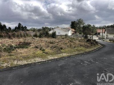 Vente Terrain Marinha-grande MARINHA-GRANDE 10 au Portugal