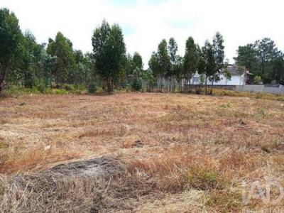 Annonce Vente Terrain Marinha-grande