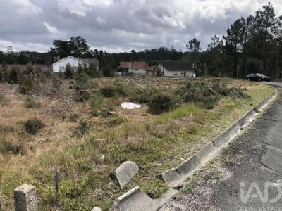 Acheter Terrain 1141 m2 Marinha-grande