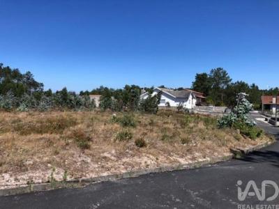 Acheter Terrain Marinha-grande rgion LEIRIA