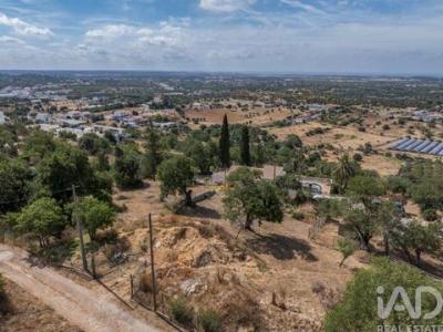 Annonce Vente Terrain Loule