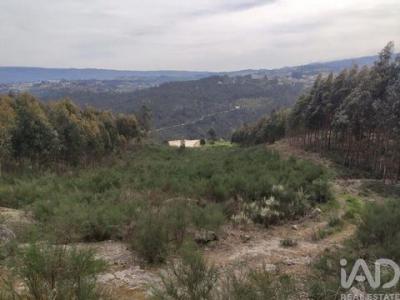 Acheter Terrain Marco-de-canaveses rgion PORTO