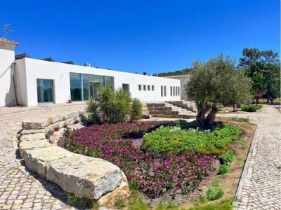 Annonce Vente Terrain Tavira