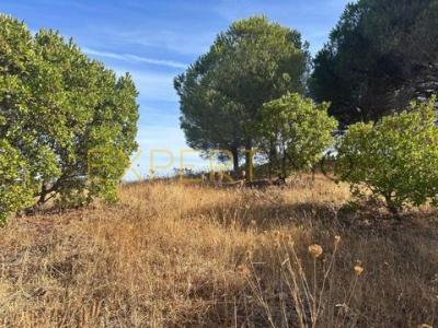 Acheter Maison 127 m2 Tavira