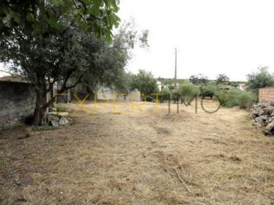 Vente Terrain Pombal POMBAL 10 au Portugal