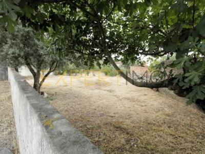 Acheter Terrain 1381 m2 Pombal
