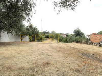 Acheter Terrain Pombal rgion LEIRIA
