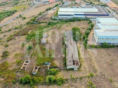 Acheter Terrain 10650 m2 Mafra