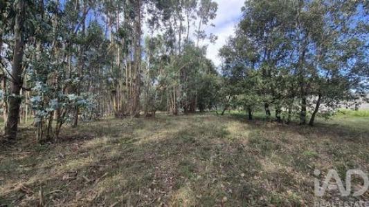 Acheter Terrain 1660 m2 Porto-de-mos