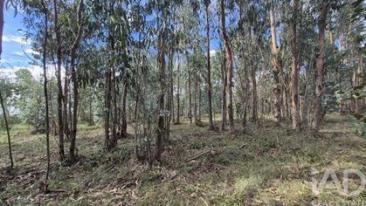 Acheter Terrain Porto-de-mos rgion LEIRIA