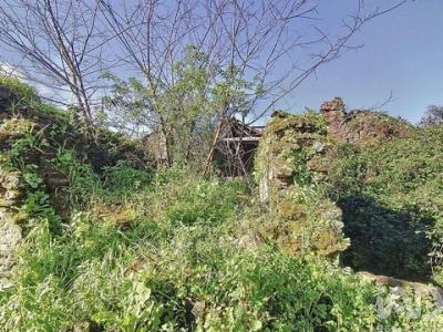 Acheter Maison Tomar rgion SANTAREM