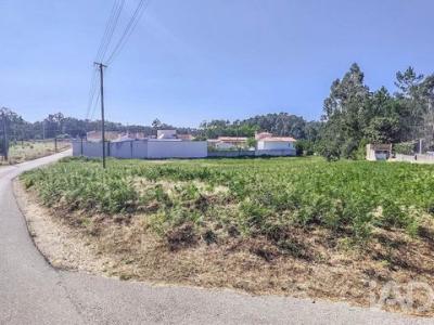 Annonce Vente Terrain Maceira