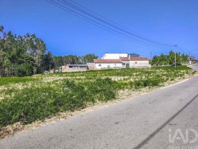 Acheter Terrain 3076 m2 Maceira