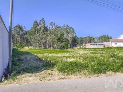 Acheter Terrain Maceira rgion LEIRIA