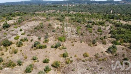 Annonce Vente Terrain Ferreira-do-zezere
