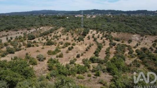 Acheter Terrain 17000 m2 Ferreira-do-zezere