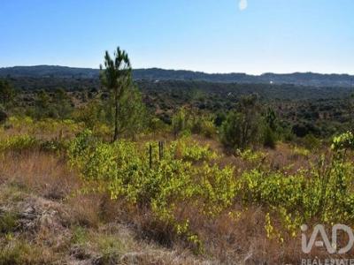 Acheter Terrain Ferreira-do-zezere rgion SANTAREM