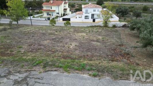 Acheter Terrain 1019 m2 Coimbra