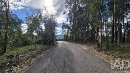 Acheter Terrain 740 m2 Porto-de-mos