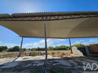 Acheter Maison Torres-novas rgion SANTAREM