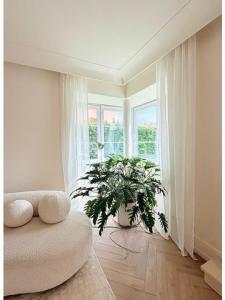 Louer Maison 262 m2 Cascais