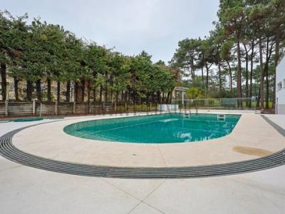 Annonce Location Maison Almada