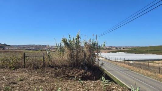 Acheter Terrain 1500 m2 Torres-vedras