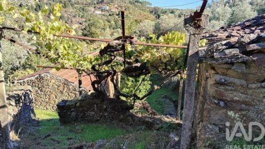 Acheter Maison Pedrogao-grande rgion LEIRIA