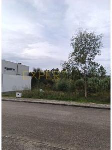 Vente Terrain Cantanhede ANAA 06 au Portugal