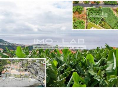 Annonce Vente Terrain Ponta-do-sol