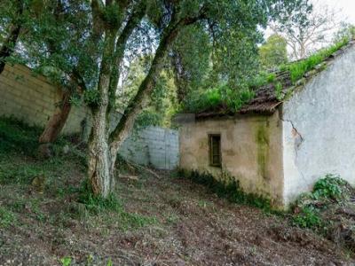 Acheter Terrain 459 m2 Sintra