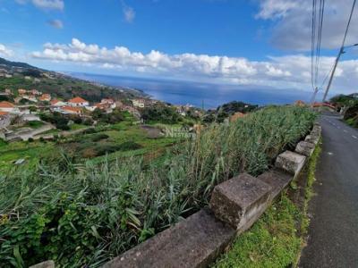 Annonce Vente Maison Santa-cruz