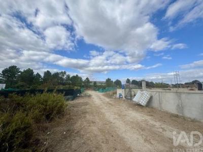 Vente Terrain Palmela QUINTA-DO-ANJO 15 au Portugal