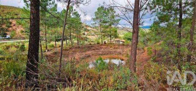 Annonce Vente Terrain Portimao