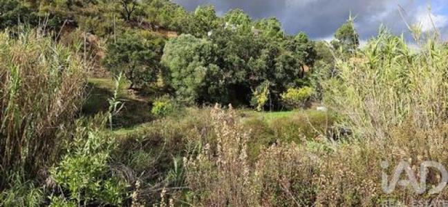 Acheter Terrain 23970 m2 Portimao