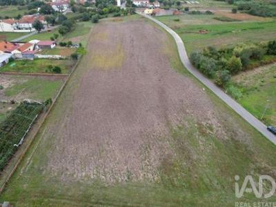 Annonce Vente Terrain Oliveira-do-bairro