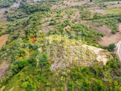 Vente Terrain Mafra VENDA-DO-PINHEIRO-E-SANTO-ESTAVAO-DAS-GALAS 11 au Portugal