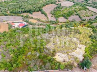 Annonce Vente Terrain Mafra