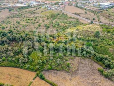 Acheter Terrain 5937 m2 Mafra