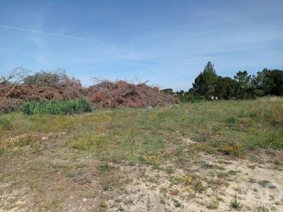 Acheter Terrain 32767 m2 Alem-da-ribeira