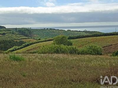 Acheter Terrain Lourinha rgion LISBOA