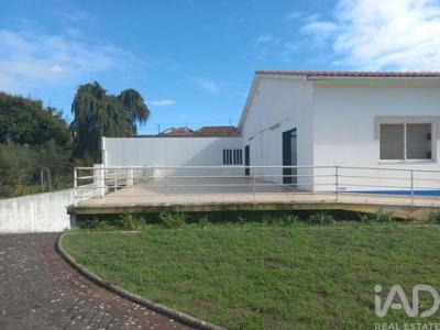 Acheter Local commercial 890 m2 Leiria