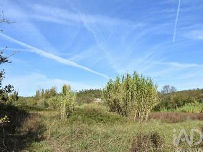 Annonce Vente Terrain Abades