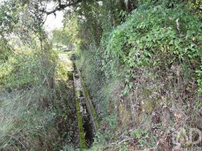 Acheter Terrain 3100 m2 Abades