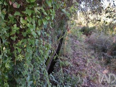 Acheter Terrain Abades rgion SANTAREM